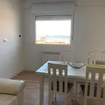 Magnífico Piso Con Gran Terraza En Centro De